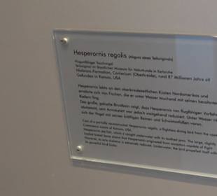 Jura-Museum