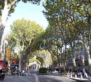 Cours Mirabeau