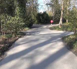 Botanischer Garten - Rombergpark