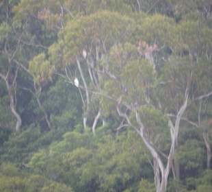 Katoomba Scenic World