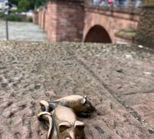 Altstadt Heidelberg