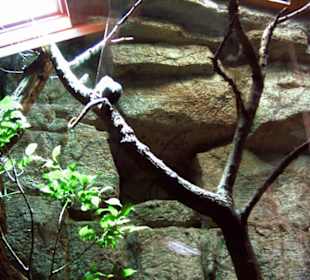 Tierpark Bochum - Impressionen