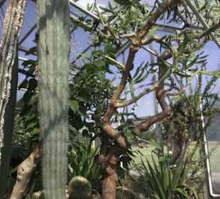 Botanischer Garten