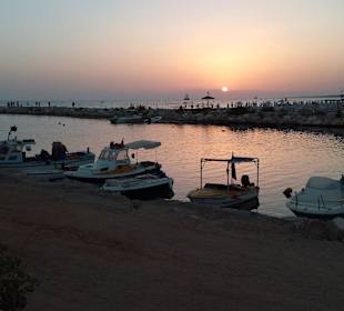 Blick zum Bootshafen