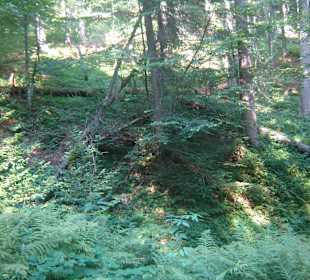 Parcul Natural Apuseni