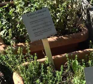 Klosterkirche Maria Gnadenzell