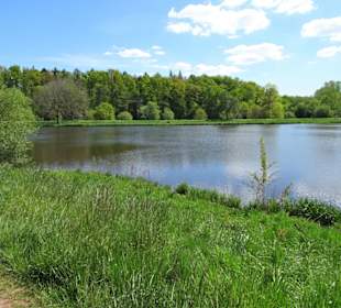 Impressionen vom Rundgang um den Klostersee