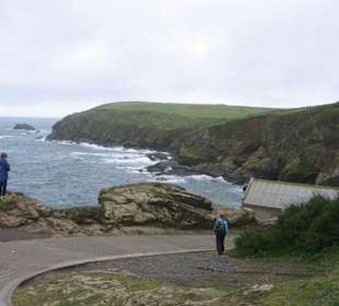 Lizard Point