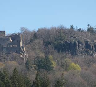 Die Ruine vom Alten Schloss Hohenbaden