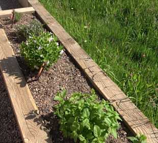 Arzneipflanzengarten Klosterreichenbach