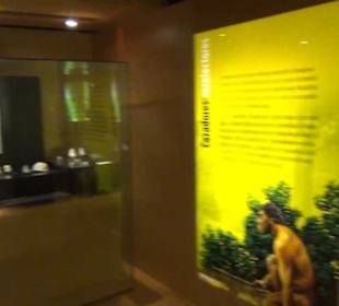 Museum de San Isidro