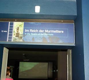 Cinema-Raum