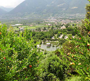 Blick vom Schloß Trauttmansdorf 