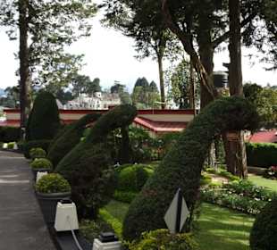 Hochland von Sri Lanka