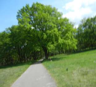 Naturschutzgebiet Boberger Niederung