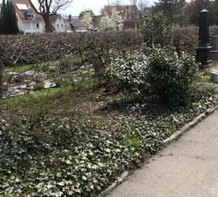 Alter Friedhof