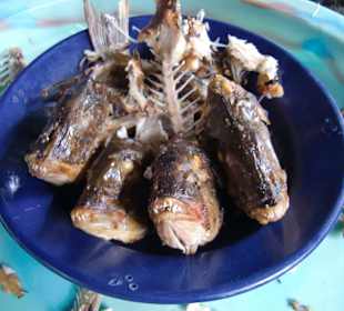 Fisch überreste vom Fischessen im Dorf