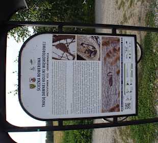 Przystanek 8 - Grabownica