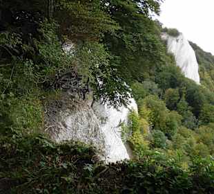 Untere Aussichtsplattform