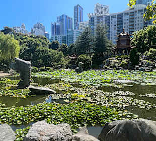 Impressionen aus dem chinesischen Garten