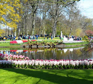 Blumenpracht im Keukenhof
