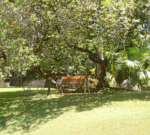 Ein schattiges Plätzchen