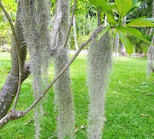 Rundgang durch den Jardin d´Eden