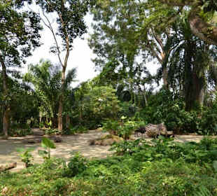 Singapur Zoo