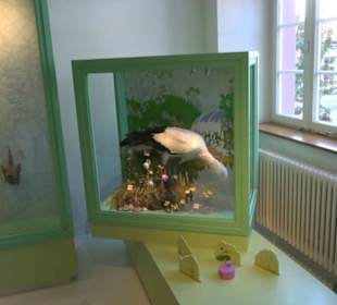 Museum für Naturkunde