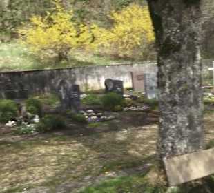 Friedhof Buttenhausen