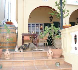 Eingang mit Sir Napoleon - Del Mar's Wachhund