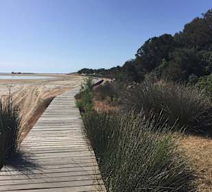 Holzsteg zum öffentlichen Strand durch die Dühnen