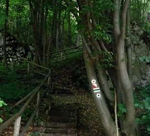 Ojcowski Park Narodowy