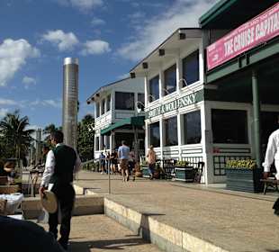 Herrlicher Schattenplatz für Lunch mit Ausblick