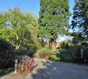 Rundgang durch den Botanischen Garten Hamburg