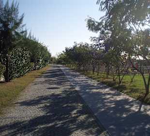 Schöne Strandpromenade