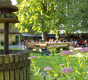 Ruhiger idyllischer Biergarten unter alten Kastani