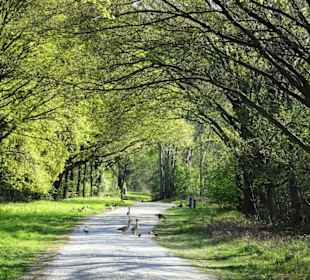 Eindrücke vom Rundgang um den See