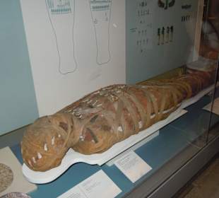 British National Museum