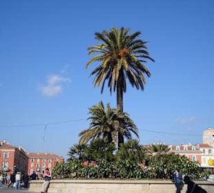 Place Massena avec riesige Palme