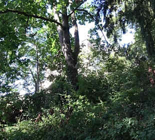 Parkanlage Silberburg