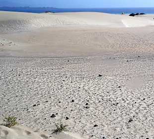 Dünen von Corralejo