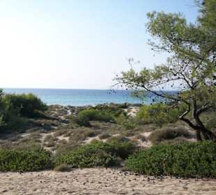 Blick zurück zum Strand