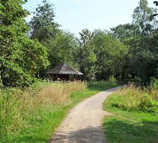 Sommer-Impressionen aus dem Park Links der Weser
