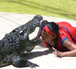 Phuket ZOO - 10 / 2010