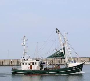 Fischkutter im Südhafen