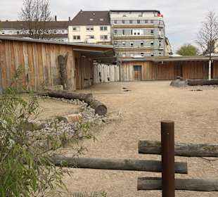Zoologischer Stadtgarten