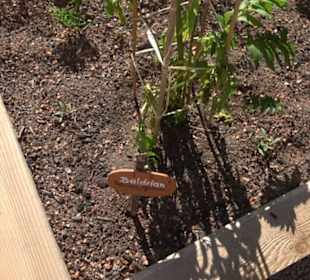 Arzneipflanzengarten Klosterreichenbach