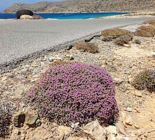 Inselrundfahrt Kreta