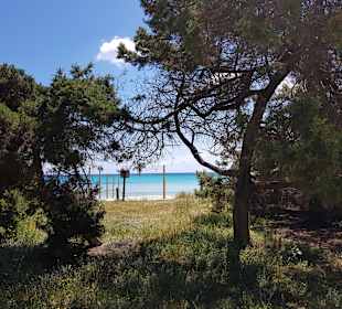 Wandern Sa Coma